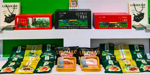 湖北日?qǐng)?bào)|兼具實(shí)力與顏值 “楚小田”、零號(hào)土豬圈粉天津衛(wèi)