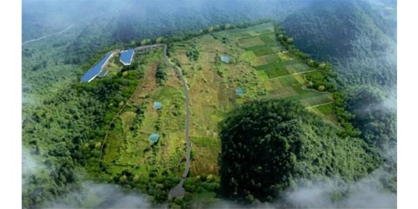 年豬示范養(yǎng)殖基地正式投欄，將帶動來鳳縣2個億生豬產(chǎn)值