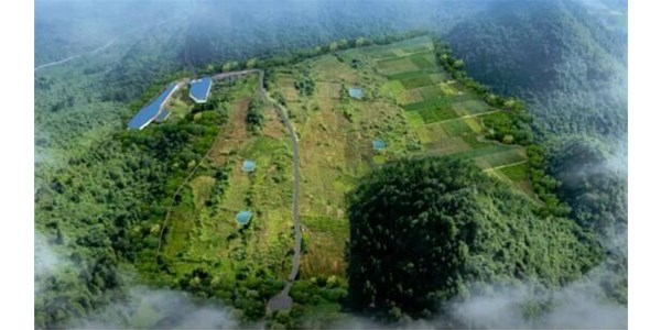 年豬示范養(yǎng)殖基地正式投欄，將帶動來鳳縣2個億生豬產(chǎn)值